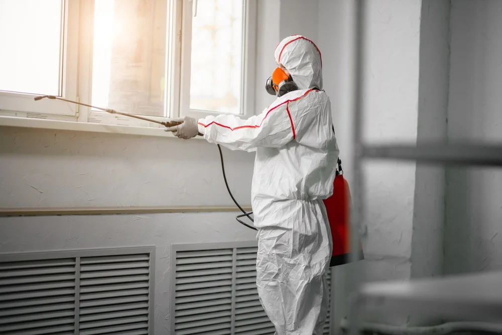 Professional mold remediation services in Westpoint, IN